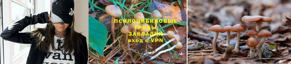 твердый Осташков