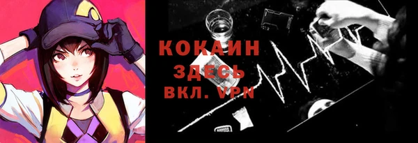 твердый Осташков