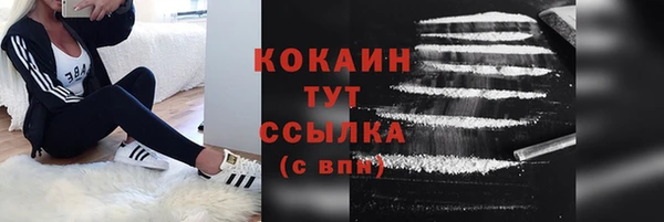 твердый Осташков