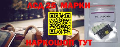 гидропоника Заводоуковск