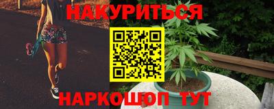 гидропоника Заводоуковск