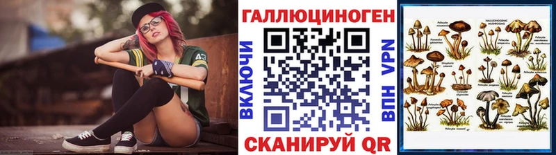 дарнет шоп  Таганрог  Галлюциногенные грибы Psilocybe 