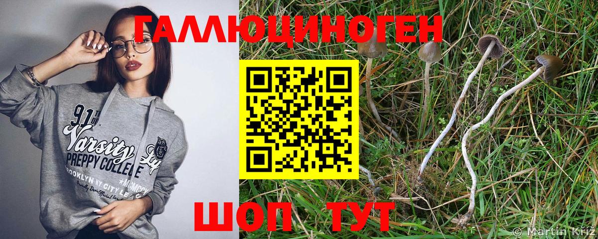 Галлюциногенные грибы GOLDEN TEACHER  Вход с VPN  Таганрог 